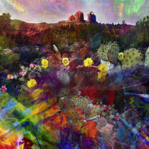 Sedona Arizona Abstract Cactus on canvas