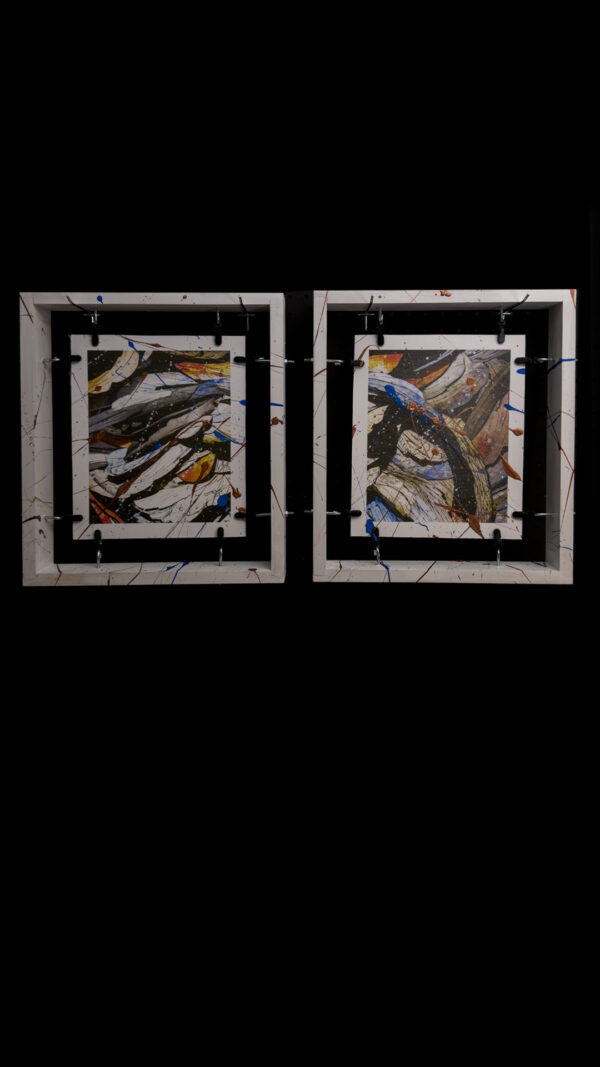 fine art painting canvas diptych titled life on this earth