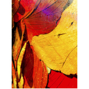 Heart Of This Earth Abstract Poster Print by artist Michael John Valentine