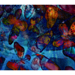 A Butterly Abstract by artist Michael John Valentine