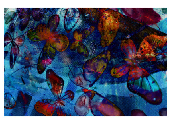 A Butterly Abstract by artist Michael John Valentine