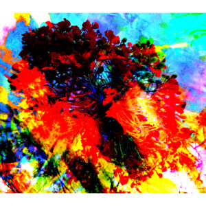 Dominican Republic Abstract Flower Painting