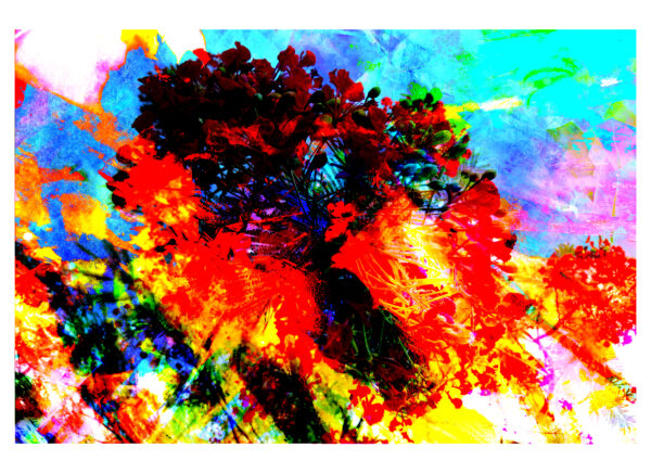 Dominican Republic Abstract Flower Painting